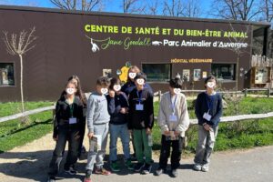Lire la suite à propos de l’article 🌄 Voyage pédagogique en Auvergne : une immersion enrichissante pour les élèves de CM2 Violet et Bleu